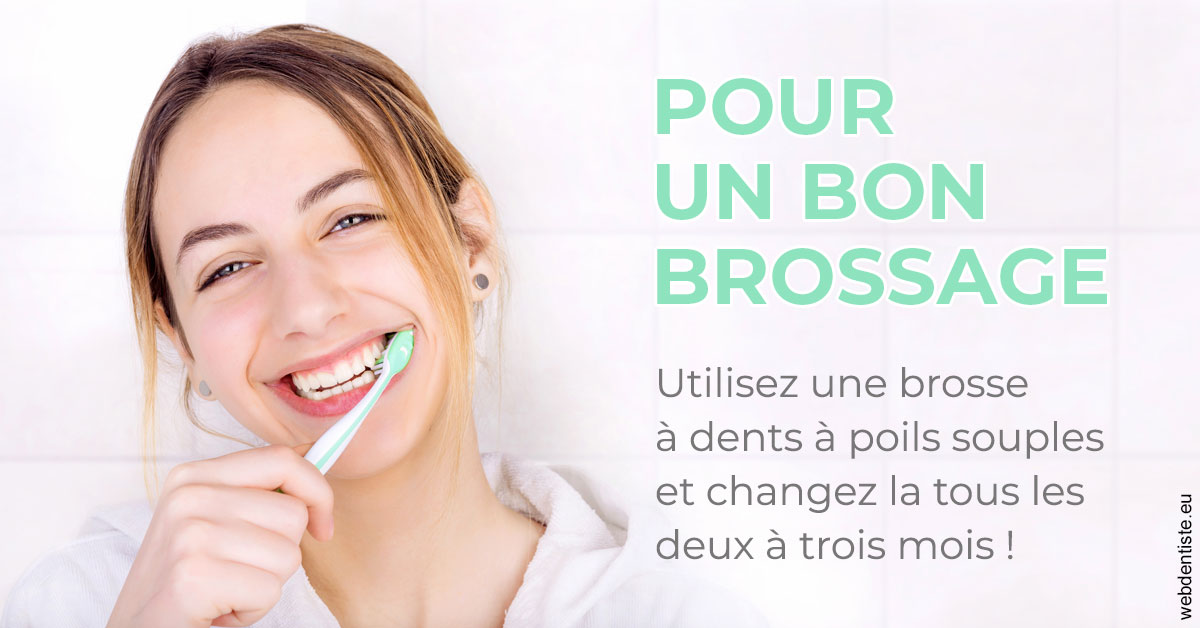 https://dr-bourlon-jean-pierre.chirurgiens-dentistes.fr/Pour un bon brossage 2