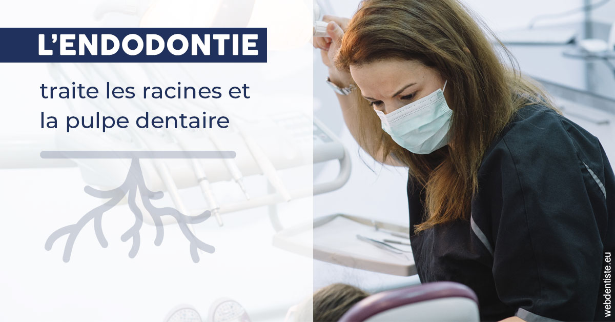 https://dr-bourlon-jean-pierre.chirurgiens-dentistes.fr/L'endodontie 1