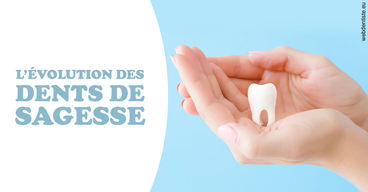 https://dr-bourlon-jean-pierre.chirurgiens-dentistes.fr/Evolution dents de sagesse 1