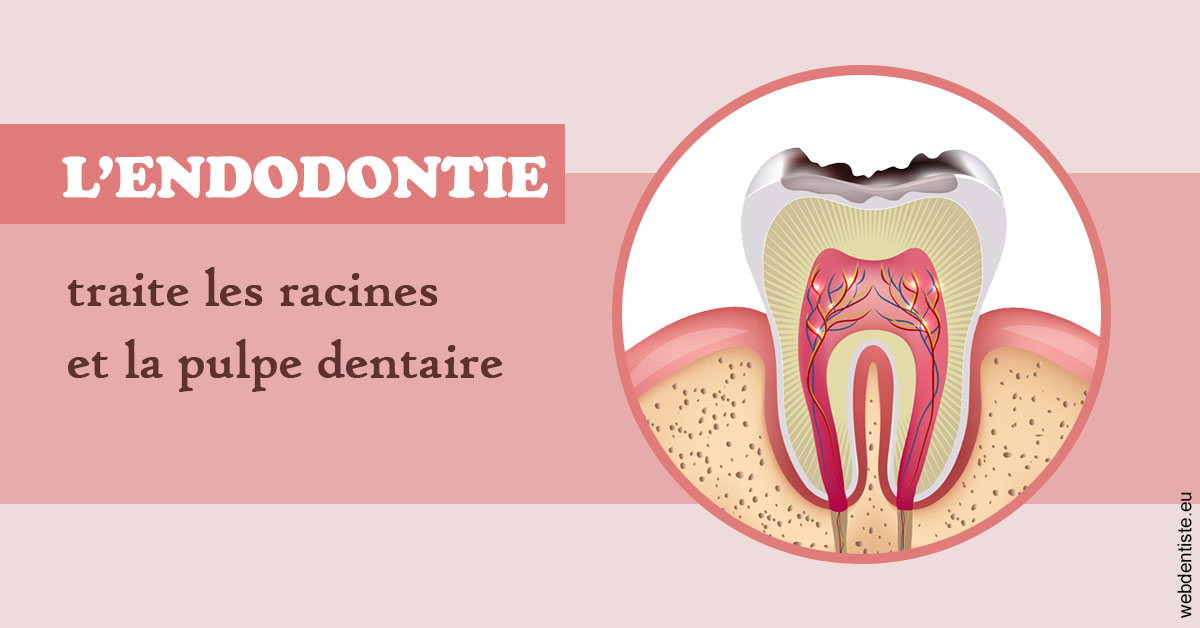 https://dr-bourlon-jean-pierre.chirurgiens-dentistes.fr/L'endodontie 2