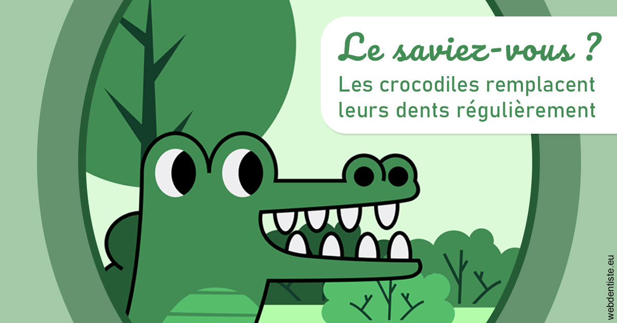 https://dr-bourlon-jean-pierre.chirurgiens-dentistes.fr/Crocodiles 2
