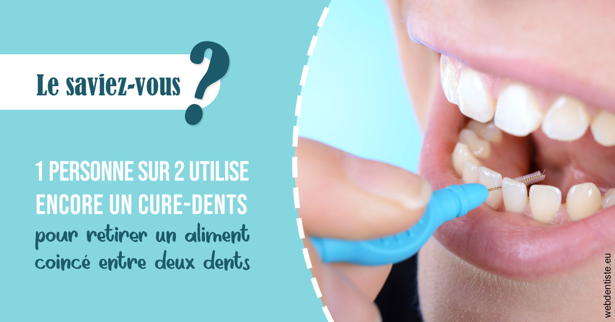 https://dr-bourlon-jean-pierre.chirurgiens-dentistes.fr/Cure-dents 1