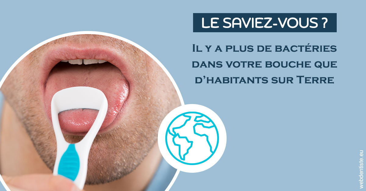https://dr-bourlon-jean-pierre.chirurgiens-dentistes.fr/Bactéries dans votre bouche 2