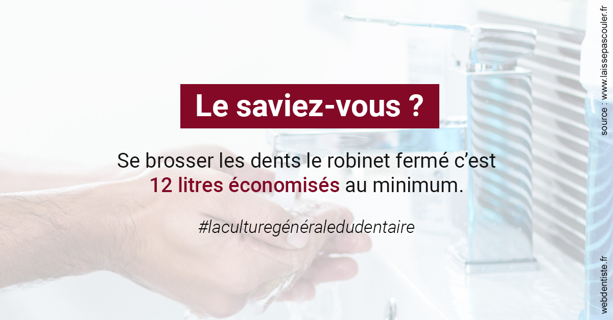 https://dr-bourlon-jean-pierre.chirurgiens-dentistes.fr/Economies d'eau 2